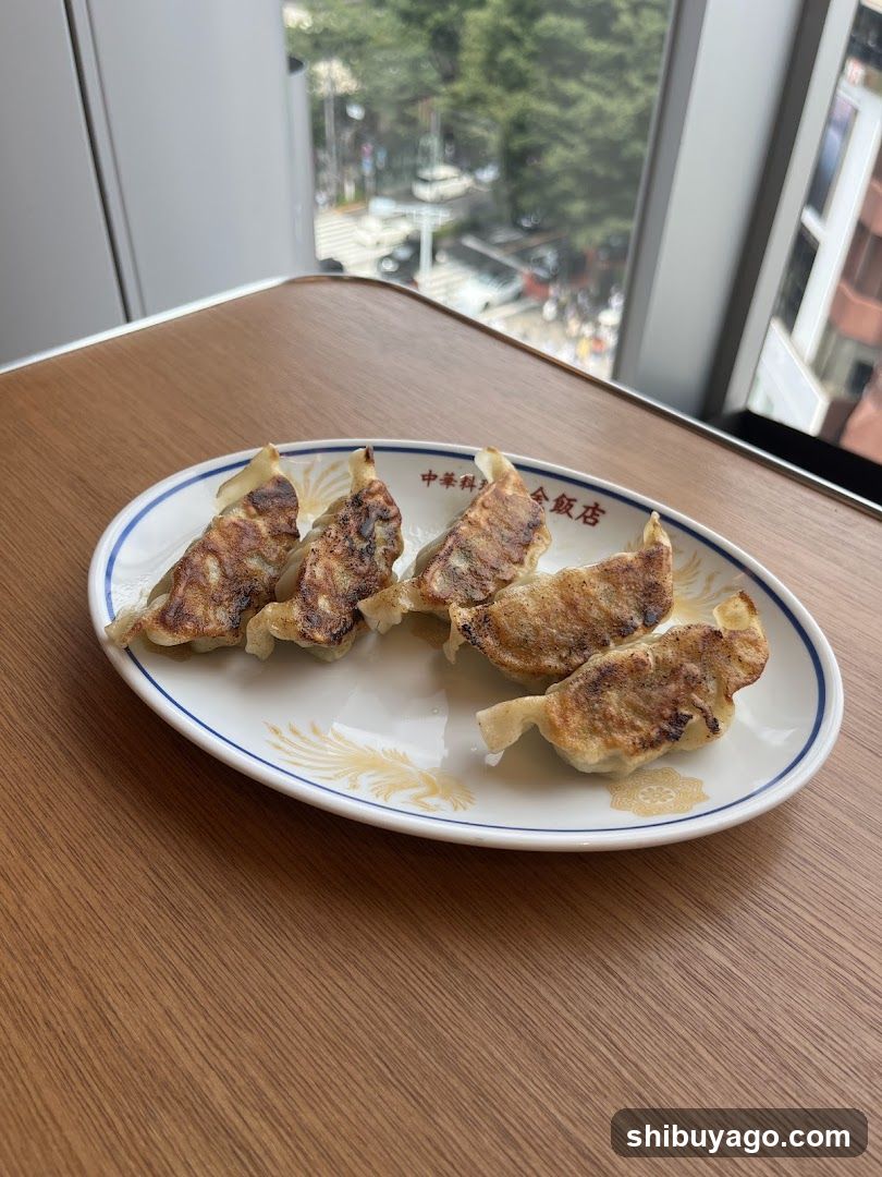 Gyoza on a plate
