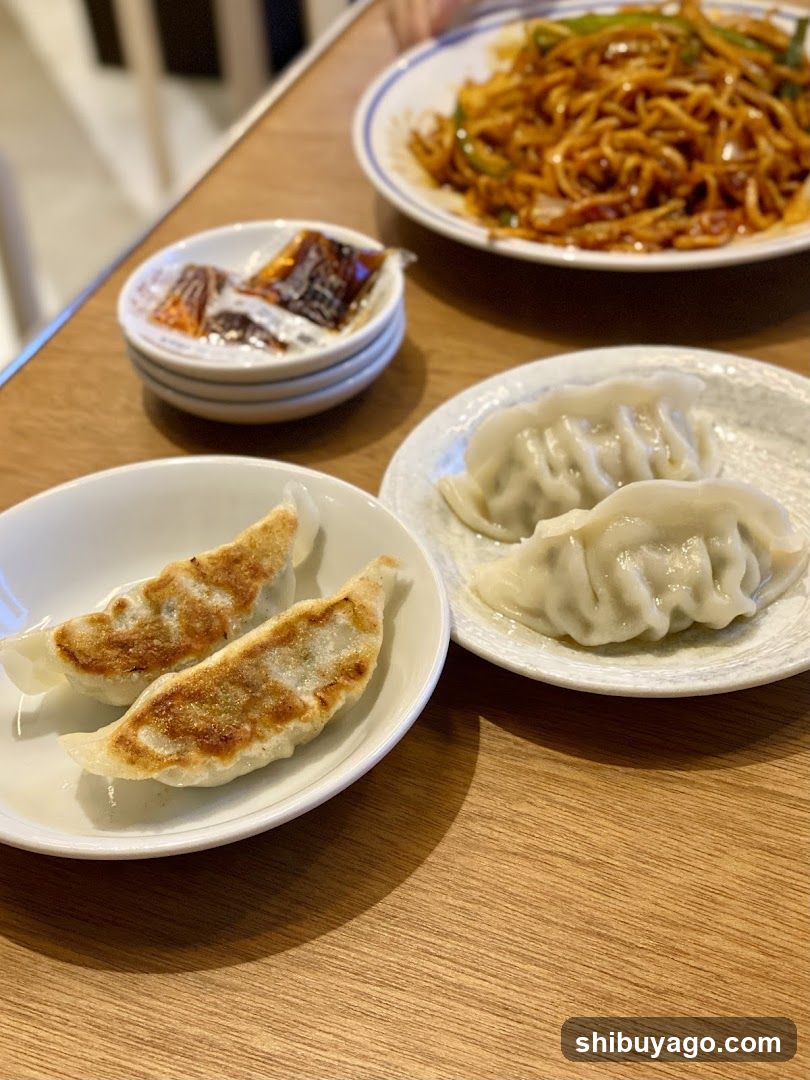 Dumplings and Stir-fried Noodles