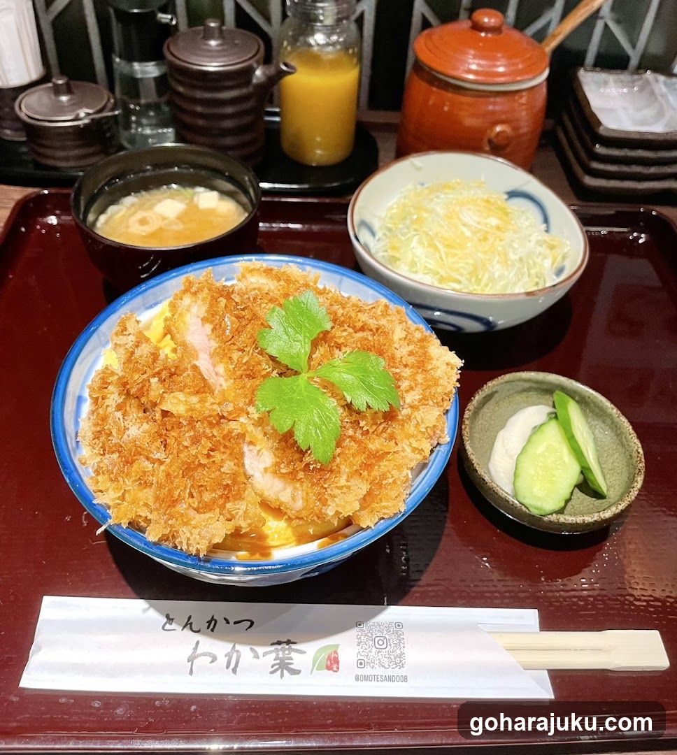 Tonkatsu Wakaba Meal Set