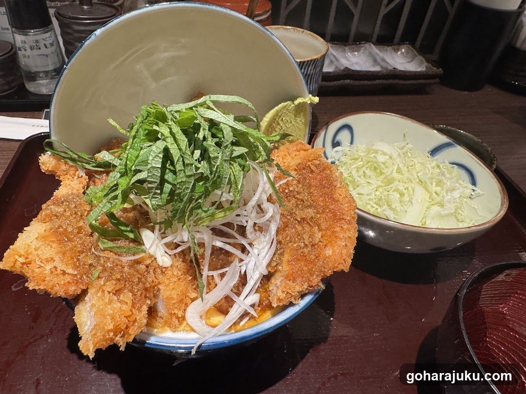 Karaage Don with Side Dish