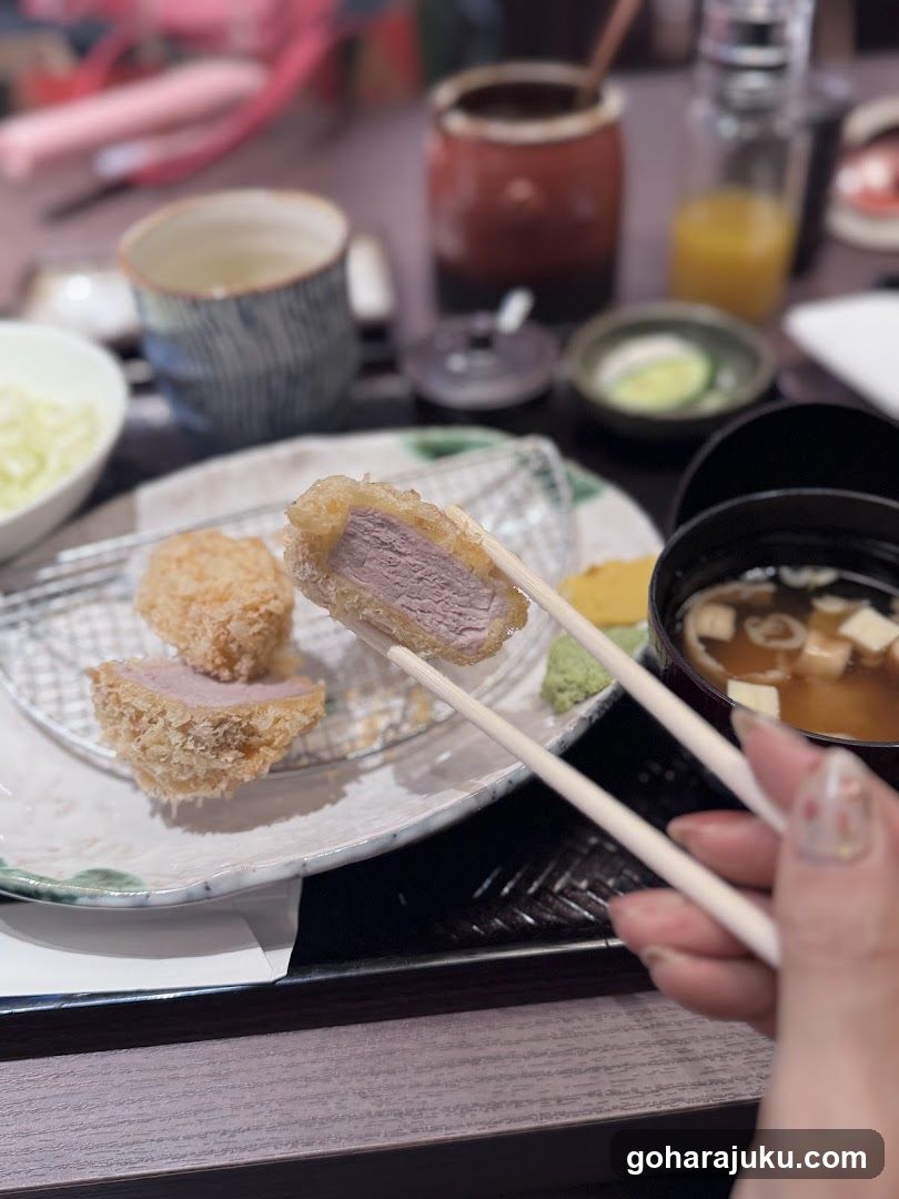 Japanese Meal with Katsu and Soup
