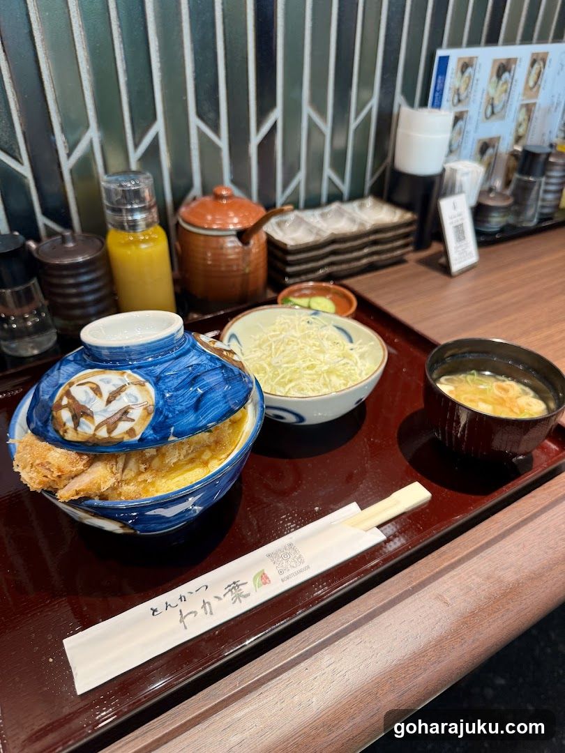 Japanese Meal with Tonkatsu and Yakamono