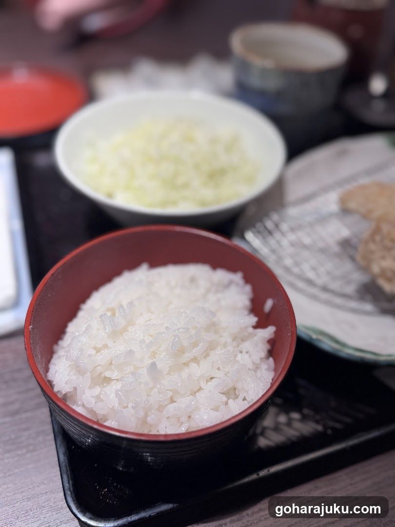 Japanese Rice Bowl Meal