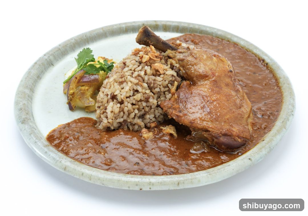 Curry Dish with Rice and Chicken