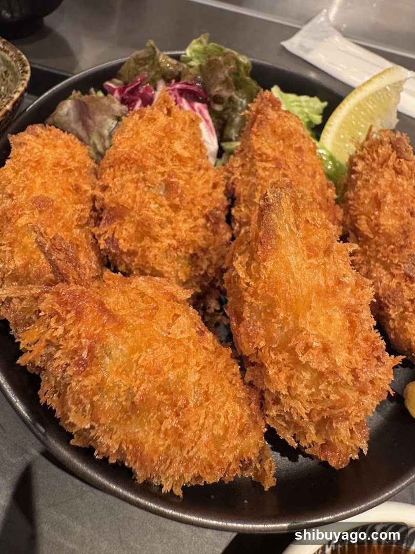 Crispy Fried Food with Salad