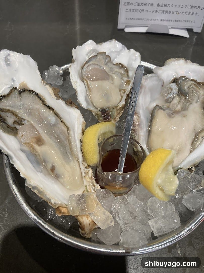 Oysters on Ice