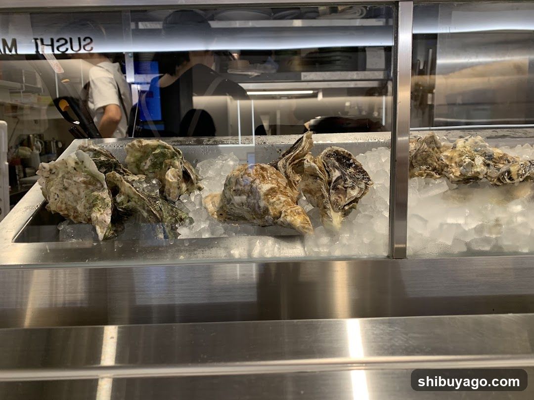 Oyster Display Case