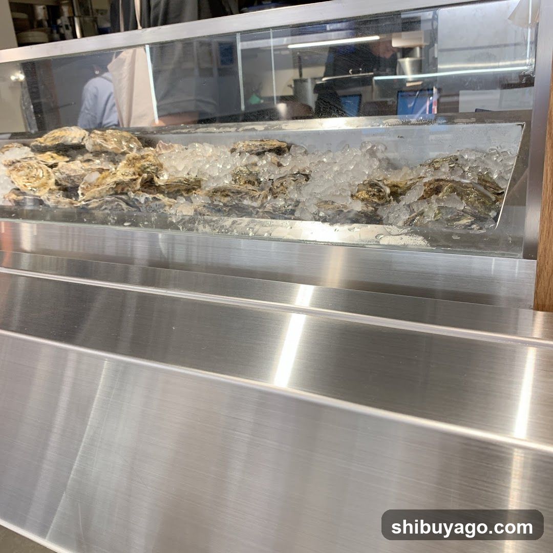 Oyster Display Case