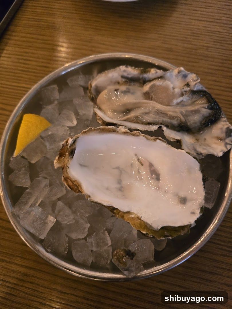 Oysters on Ice