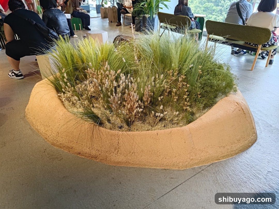 Indoor Plant Display