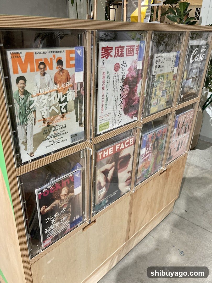 Magazine Display Rack