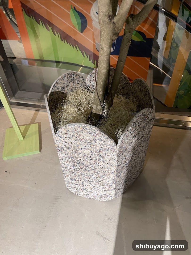 Indoor Plant Display
