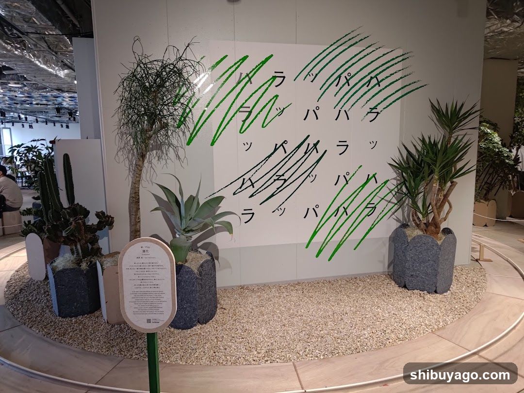 Plant Display with Japanese Text