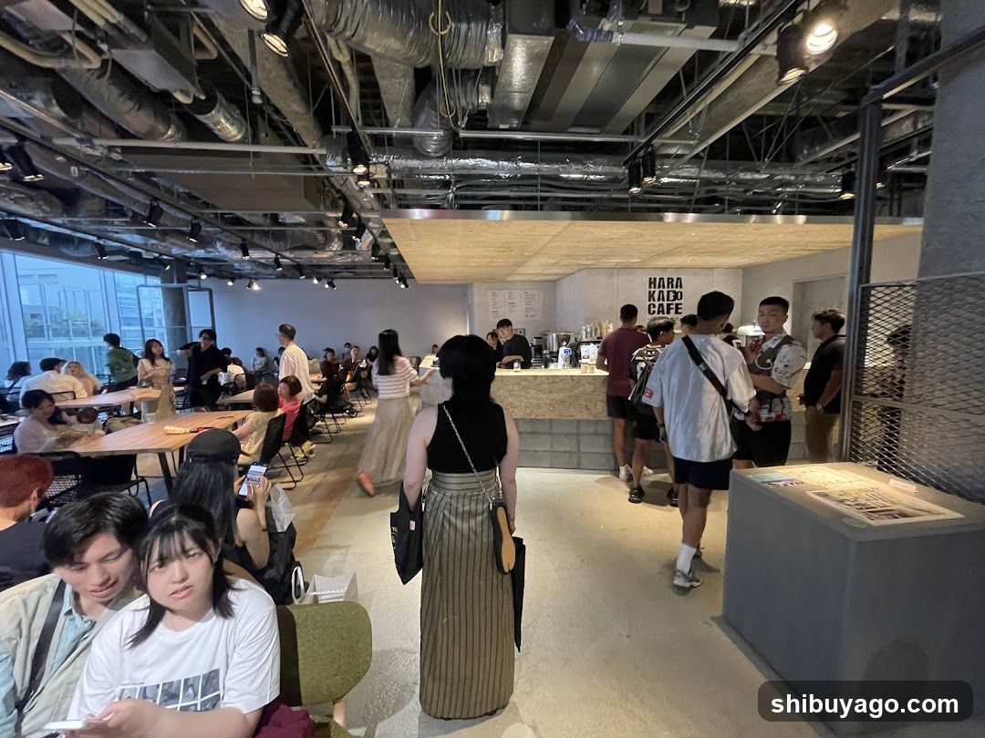 HARA KADO CAFE Interior Scene
