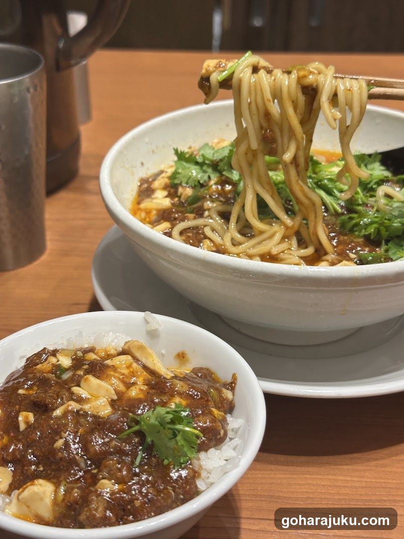 Noodle and Rice Bowl Meal