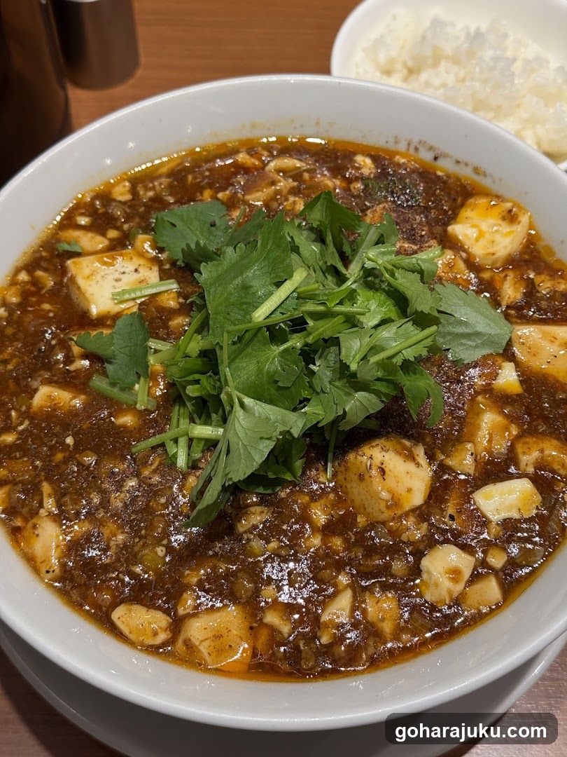 Mapo Tofu with Rice