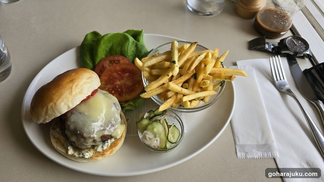 Burger and Fries Meal