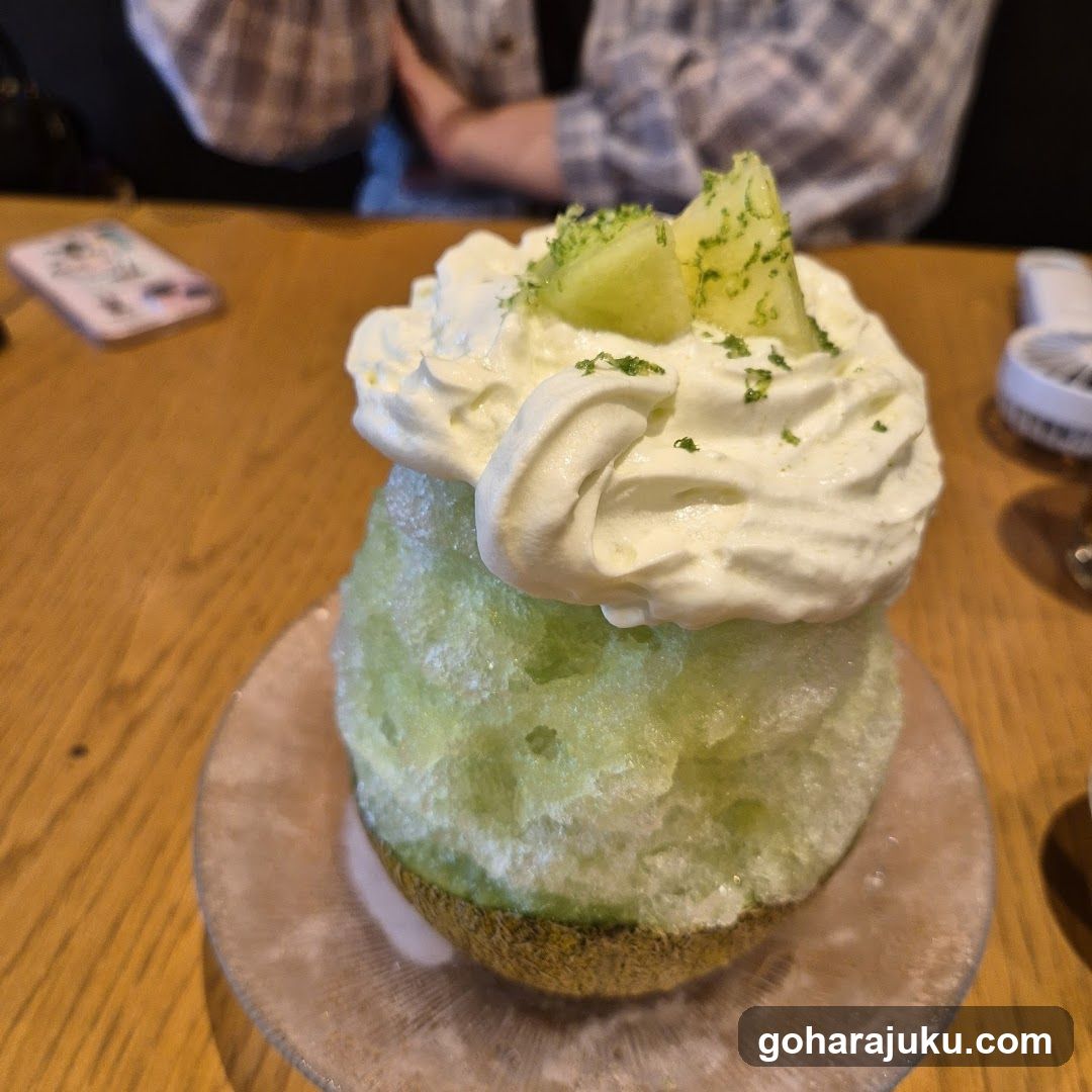 Mint Shaved Ice Dessert