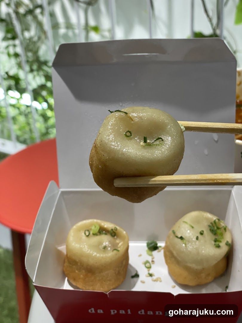 Dumpling with Chopsticks