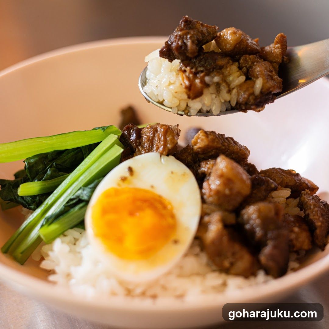 Bowl of Rice with Meat and Egg