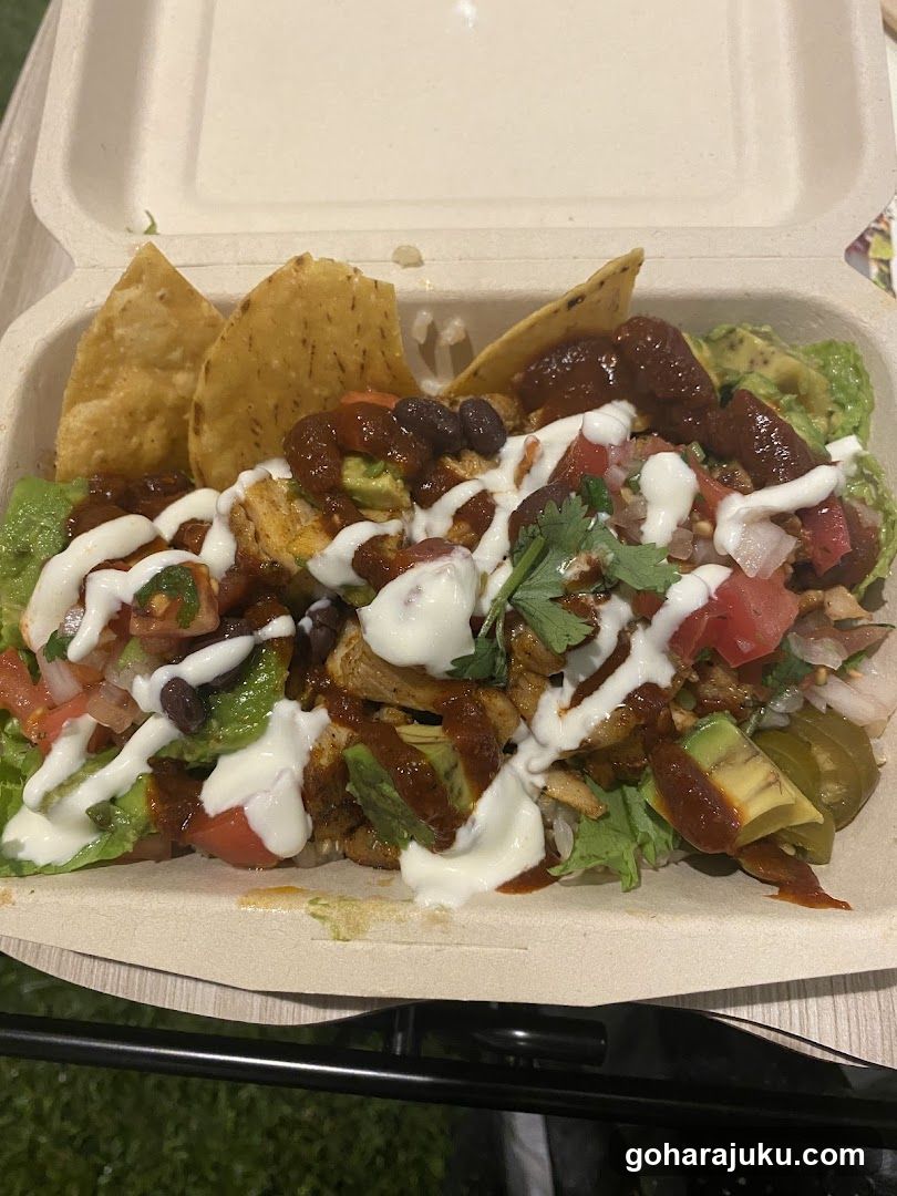 Loaded Nachos in Takeout Container