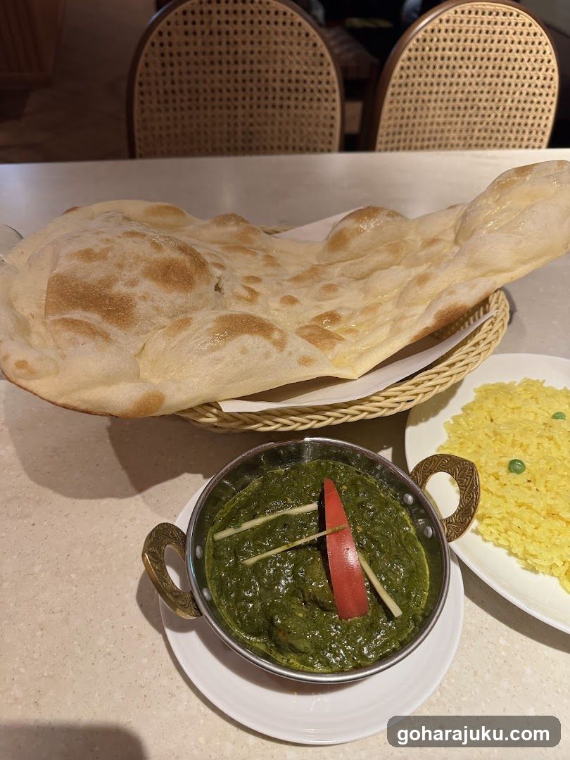 Indian Curry Meal with Naan Bread