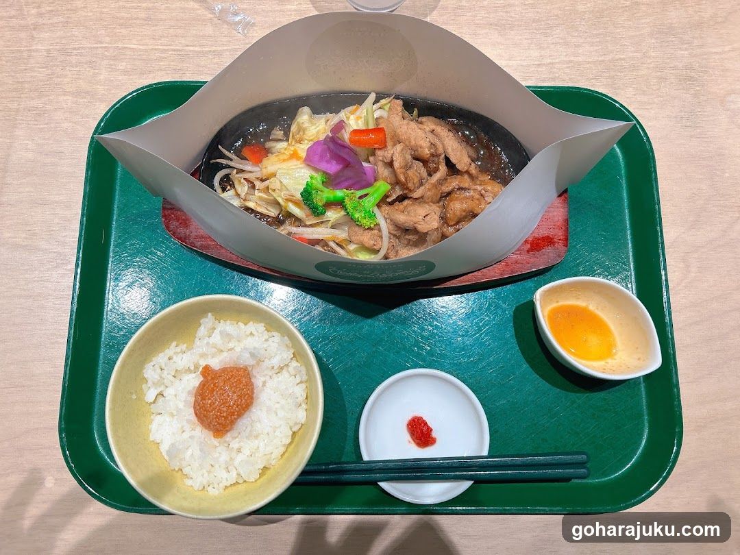 Japanese Lunch Tray with Hot Dish and Rice