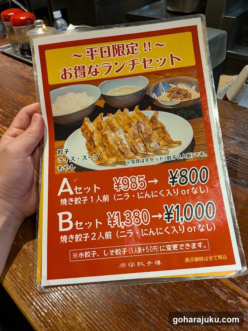 Gyoza Lunch Set Menu