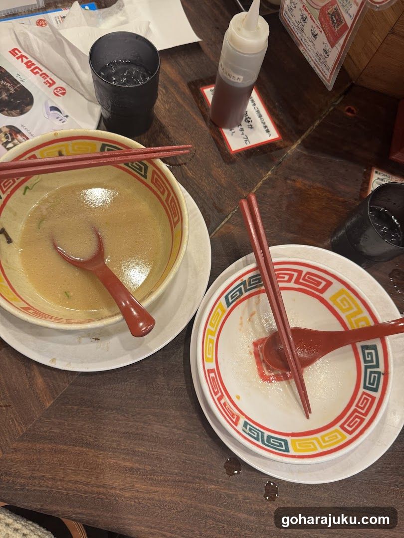 Ramen Bowl After Meal
