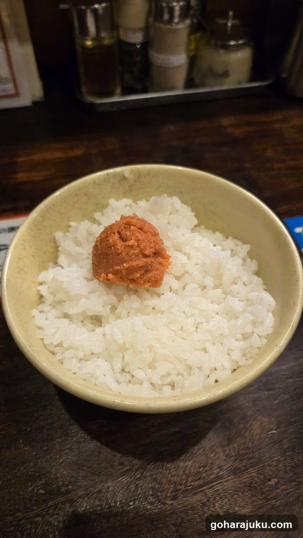 Bowl of Rice with Condiment