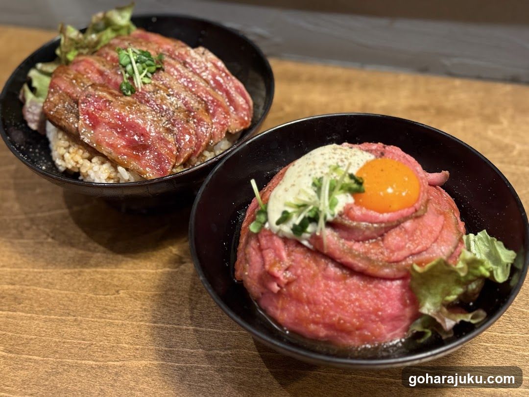 Bowl of Beef and Rice with Egg
