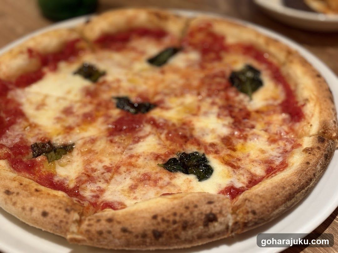 Pizza with Basil and Cheese