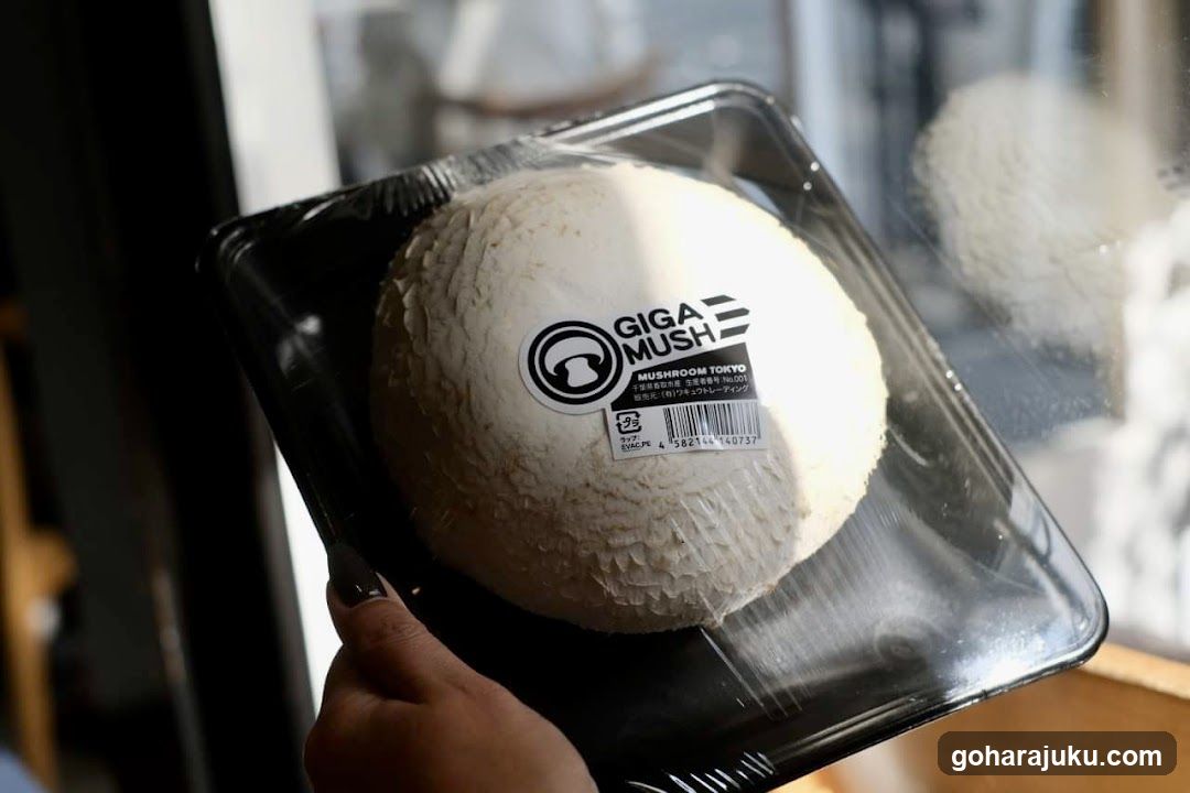 Giga Mushroom Package