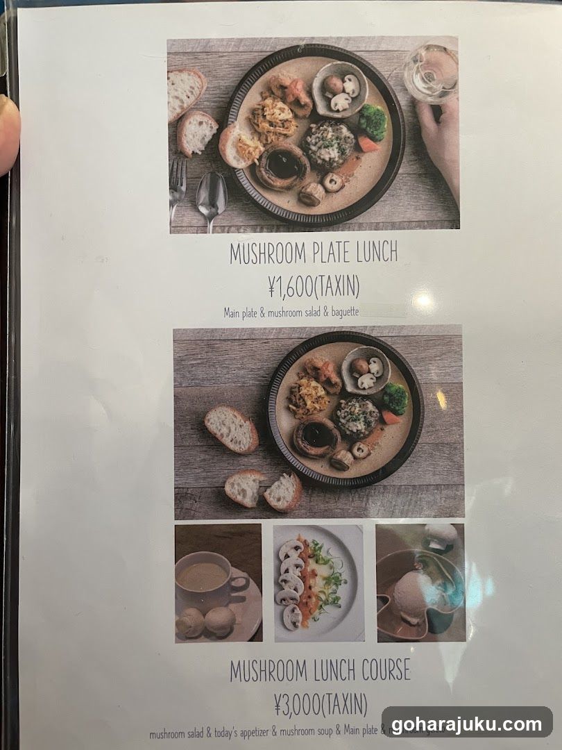 Mushroom Lunch Menu