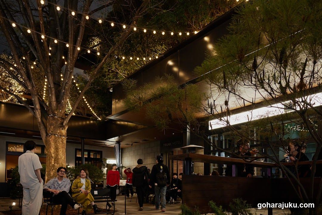 Evening Gathering at Trunk Hotel