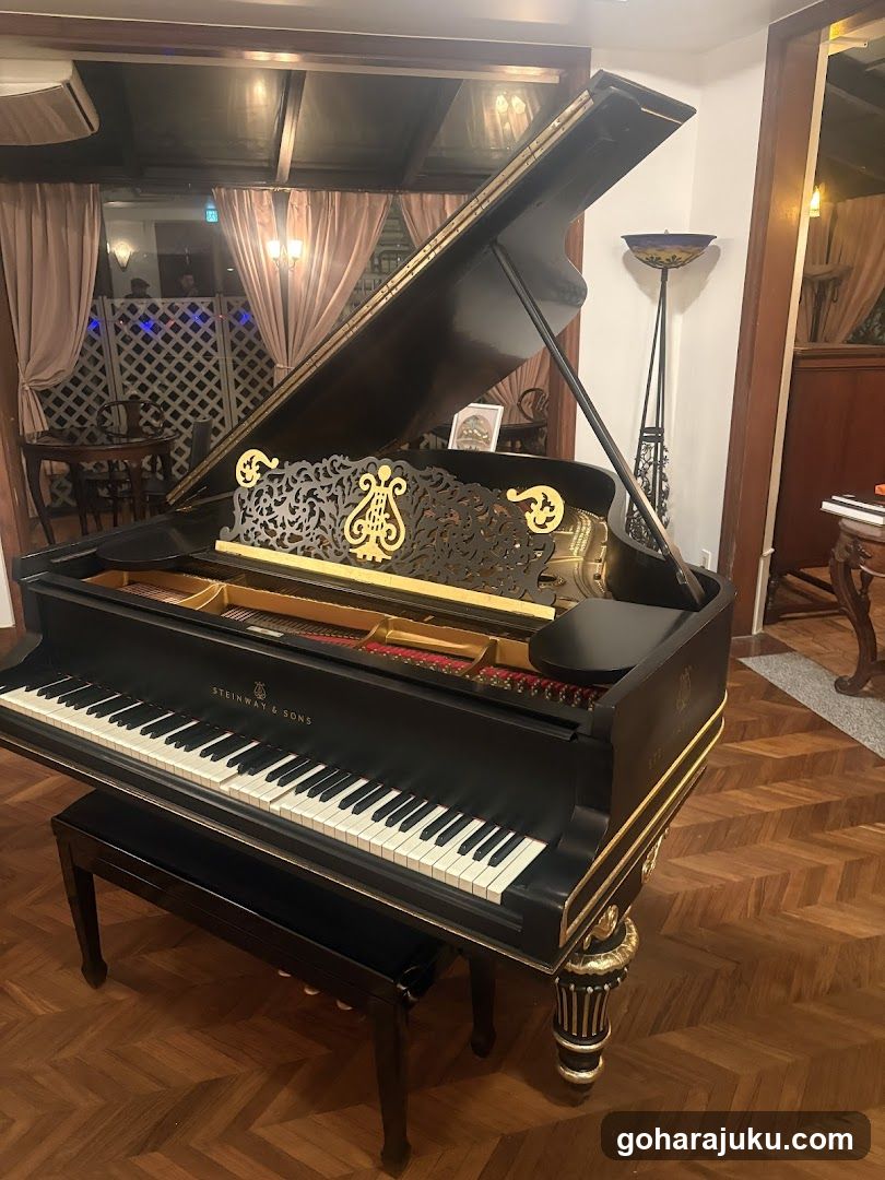 Grand Piano Interior Scene