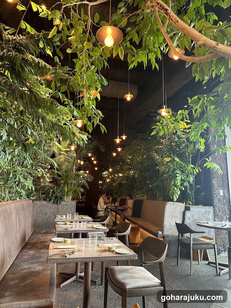 Jungle Cafe Interior