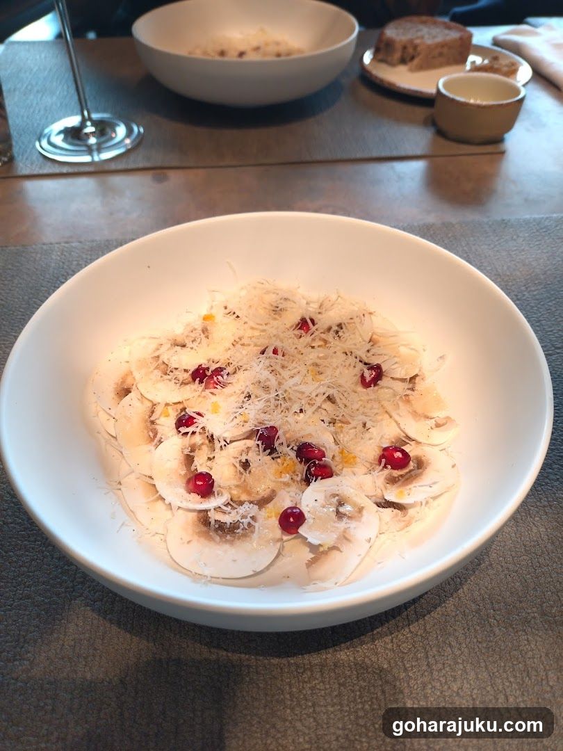 Dish with Mushrooms and Pomegranate Seeds