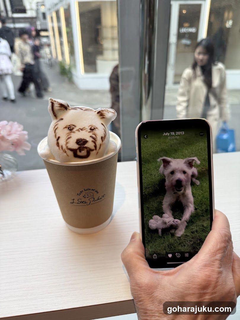 Latte Art Dog Cup and Phone Photo