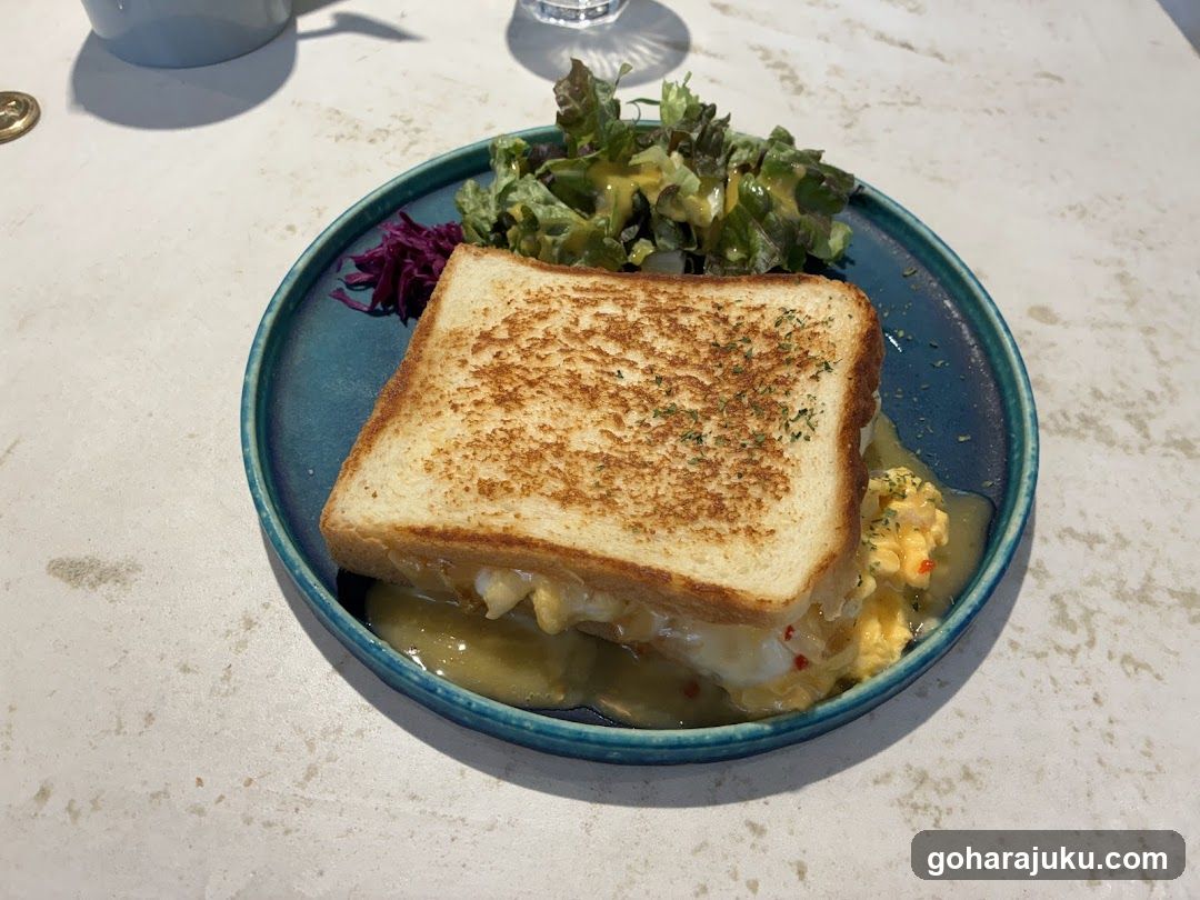 Grilled Sandwich with Salad