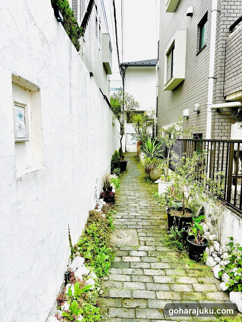 Narrow Garden Alleyway in Japan