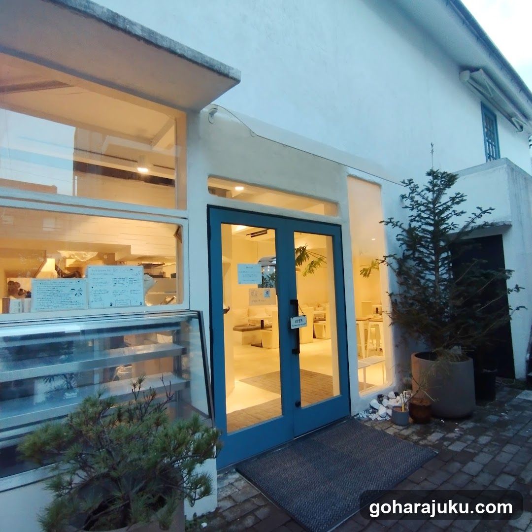 A shop front featuring a blue double door entrance, large windows displaying interior items, and potted plants outside. No visible signage on the building.