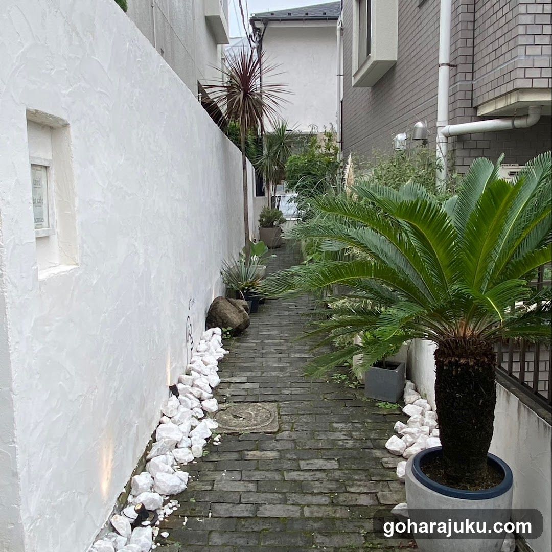 Narrow Garden Pathway with Plants and White Walls
