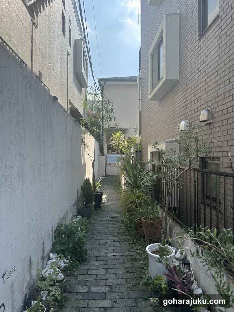 Narrow alleyway with plants and buildings