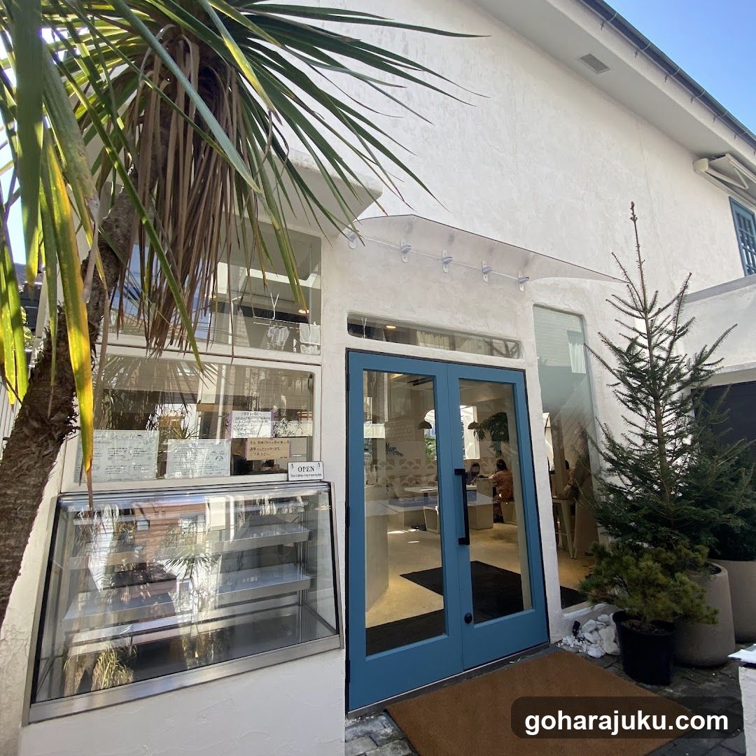 A white building facade featuring a blue double door entrance, a glass display case on the left, and a small evergreen tree to the right. Palm fronds hang from the top left corner. A sign reading 'OPEN' is visible near the door.