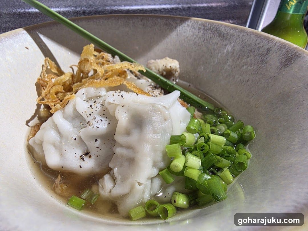 Dumpling Soup Bowl