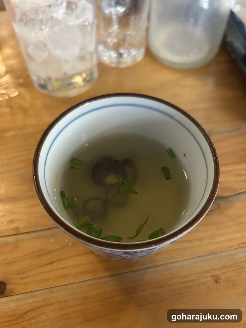 Bowl of Soup with Green Onions
