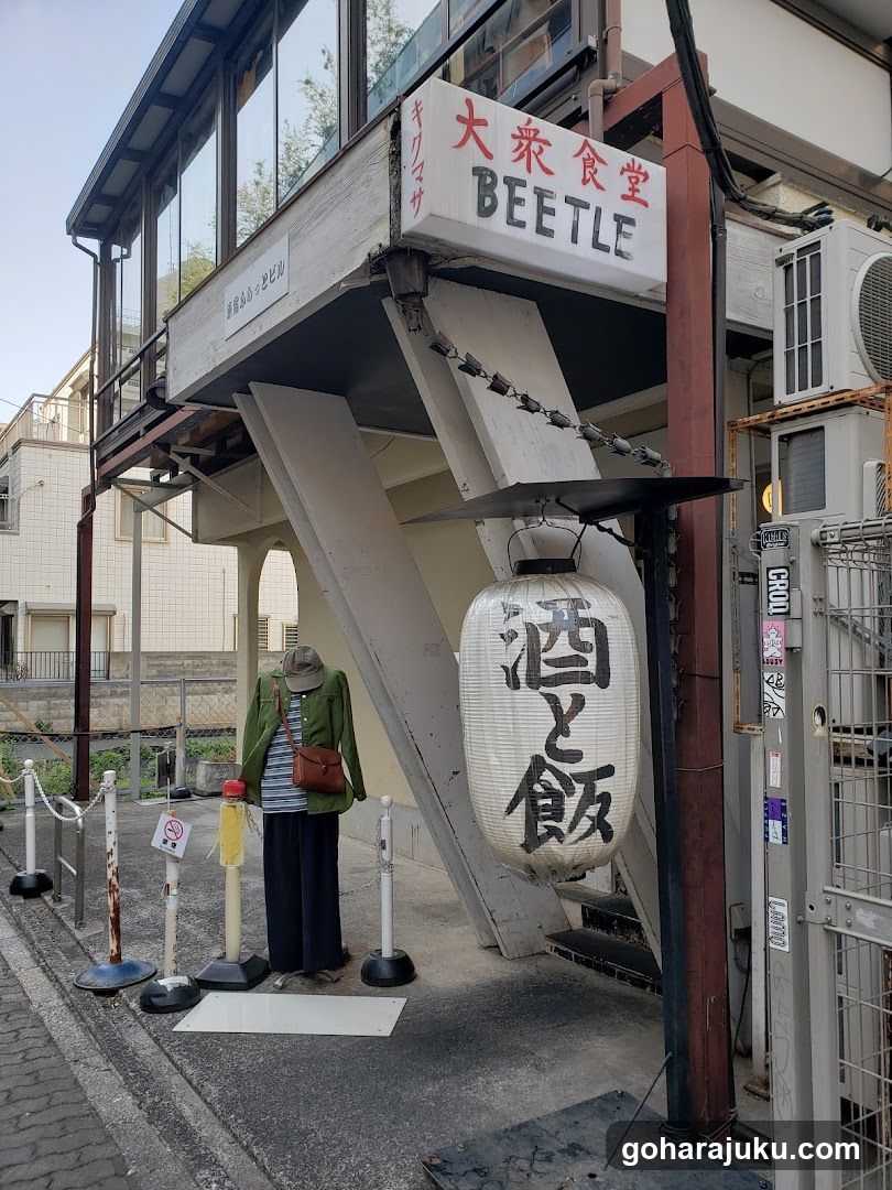 Beetle