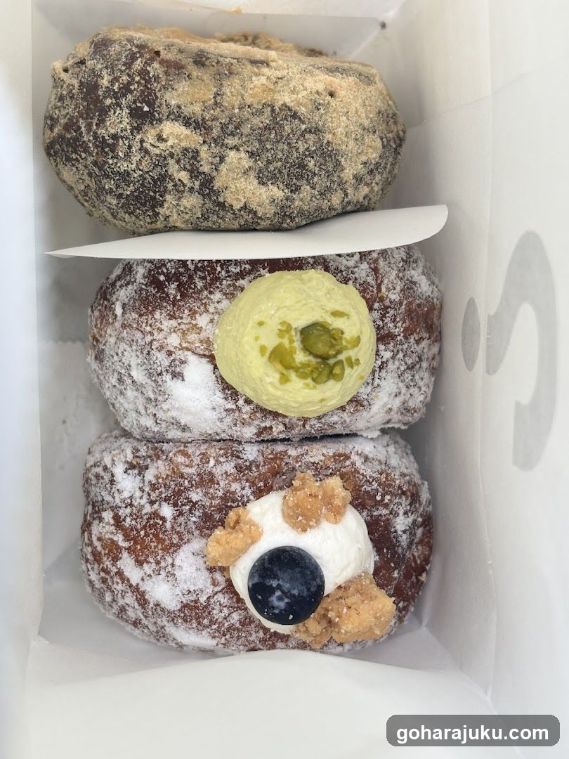 Doughnut Box