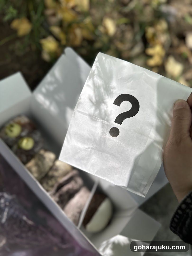 Mystery Box with Question Mark